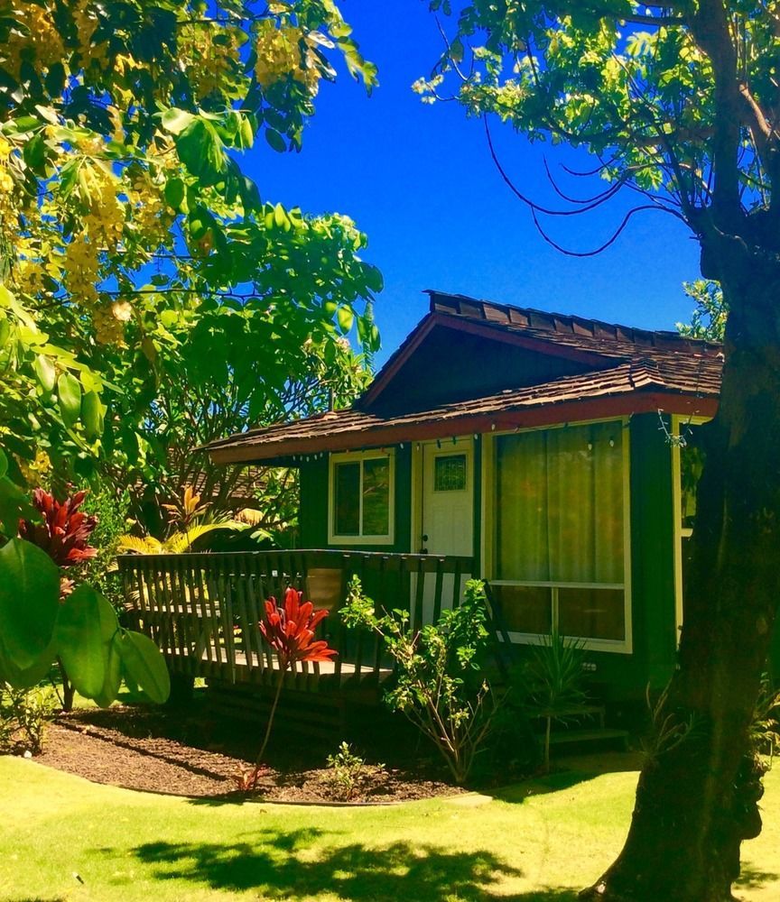 Nona Lani Cottages Kihei Zewnętrze zdjęcie