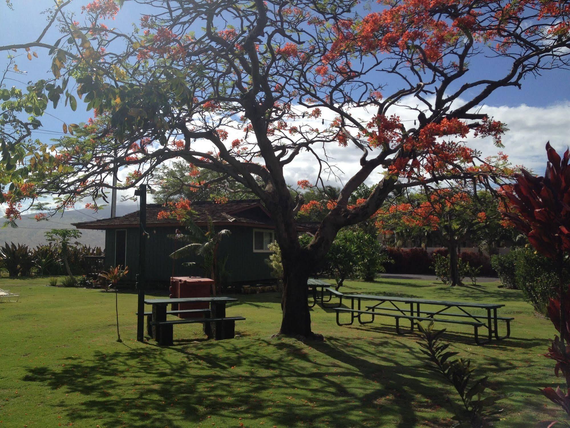 Nona Lani Cottages Kihei Zewnętrze zdjęcie